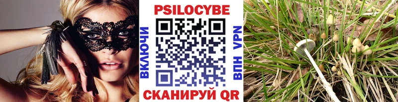 где купить наркотик omg ONION Галлюциногенные грибы Psilocybine cubensis Северо-Курильск